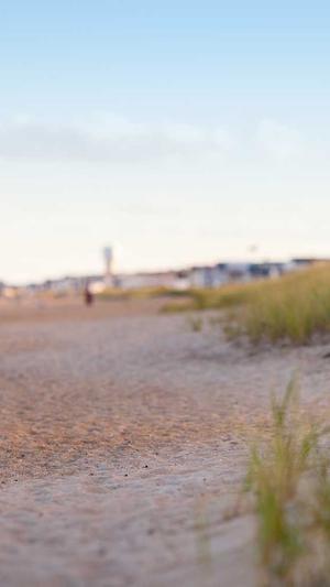 网站建设的公截图4