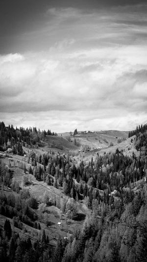 企业网站建设平台截图2