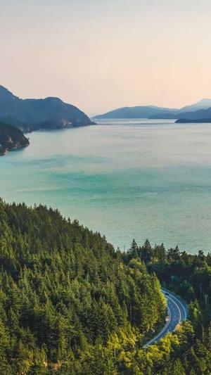 江门网站建设截图3