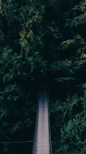 响应式网站建设截图1