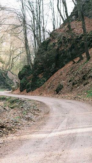 深圳网站设计建设截图1