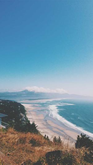 专业网站建设开发截图2