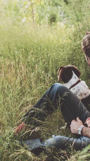 seo优化工具是什么意思截图4