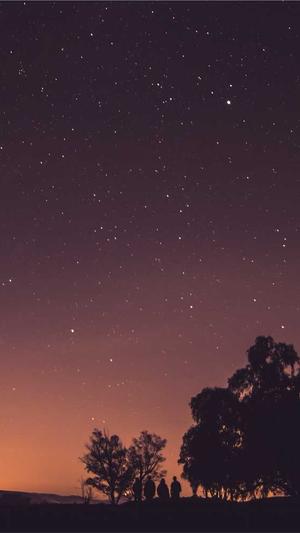 繁殖蜘蛛池出售截图2