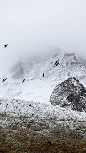 顶呱呱网站建设截图4