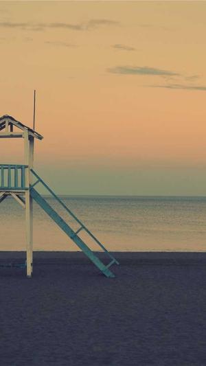 徐汇网站建设截图2