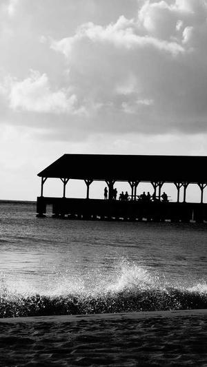 甘肃神马蜘蛛池出租截图4