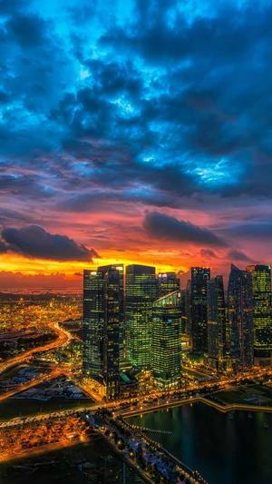 建蜘蛛池需要什么材料截图3