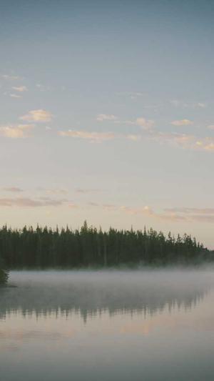 西安网站建设公司截图3