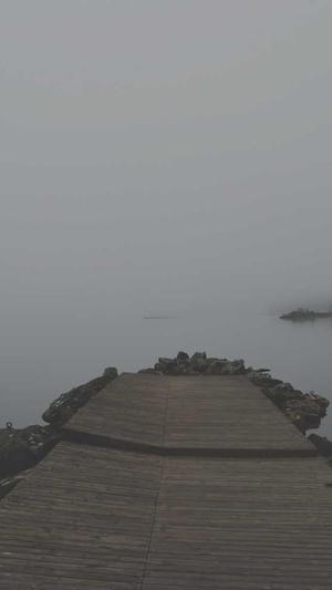 免费提交seo工具截图1