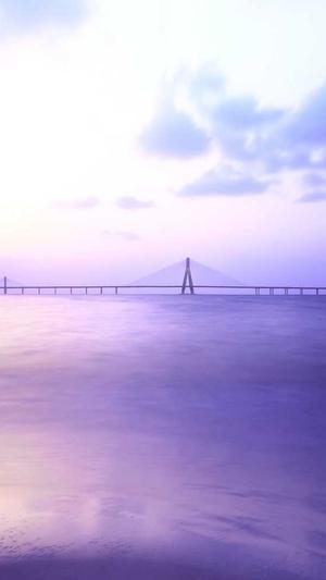 seo点击排名工具有用吗截图1