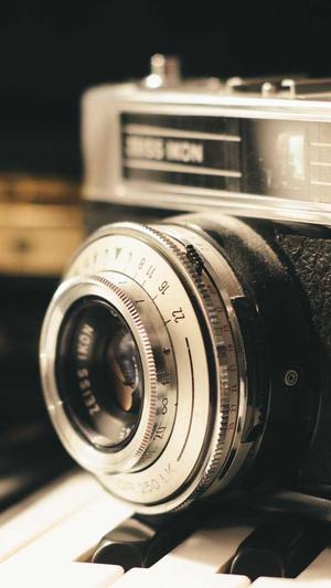 搭建蜘蛛池简单吗英语截图3