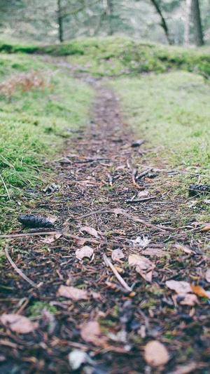 泛目录霸屏站群截图2