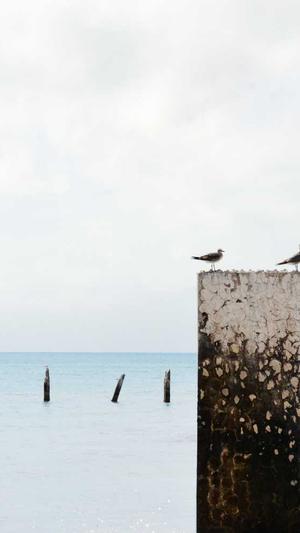 北京seo自学网截图4