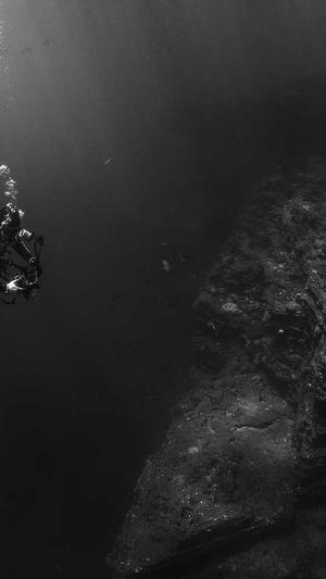 seo外链工具截图4