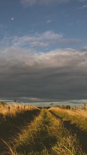 泛目录seo推广截图2