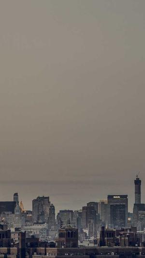 泛目录怎么操作截图1