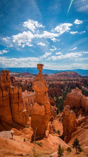 SEO工具下载截图4