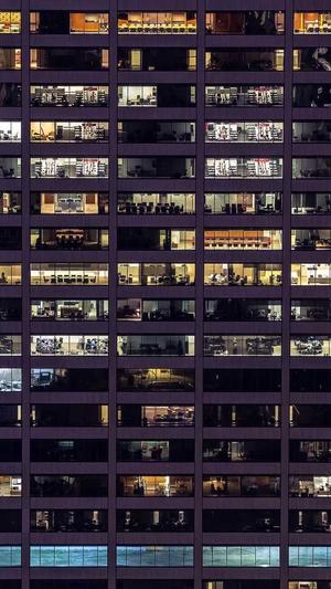 无名蜘蛛池截图1