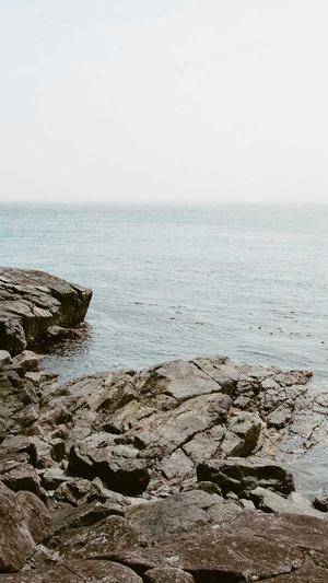 黑帽寄生虫泛目录截图4