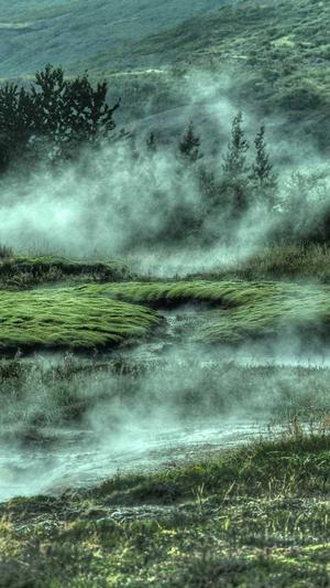 小旋风万能蜘蛛池出租截图5