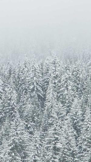 重庆旅游seo整站优化截图5