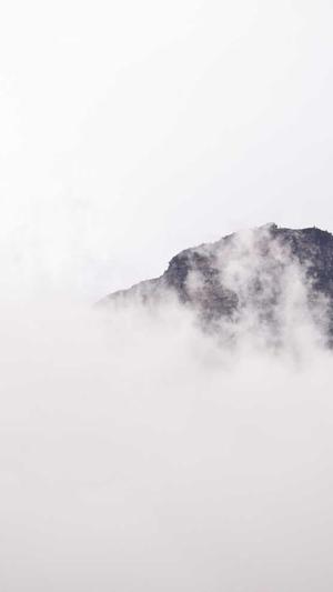 SEO宣传推广截图2