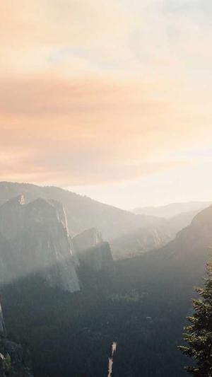 seo推广优化公司截图2