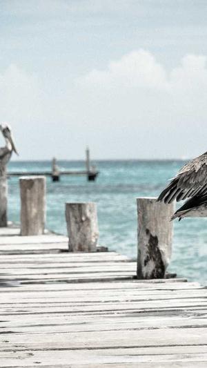 如何网站建设截图3