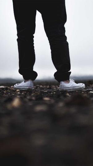 超级seo工具截图4