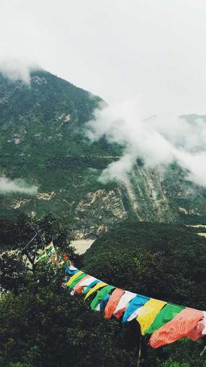 广州seo顾问截图1