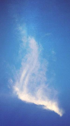 济南网站建设公司川芎网络截图2